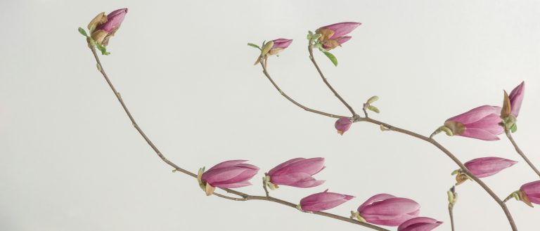 La relation thérapeutique : une alliance puissante et singulière